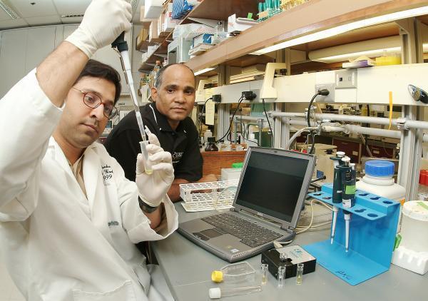 Lab Workers at work with laptop.jpg